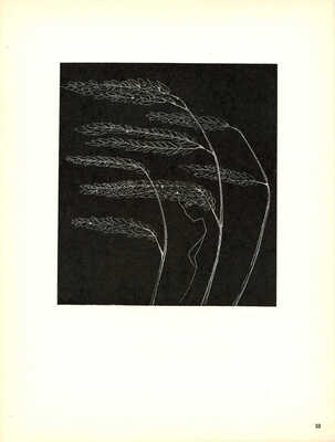 [Красаускас С. Альбом репродукций. 2-е изд.]. Krasauskas S. Antras leidimas. Vilnius: Vaga, 1966.